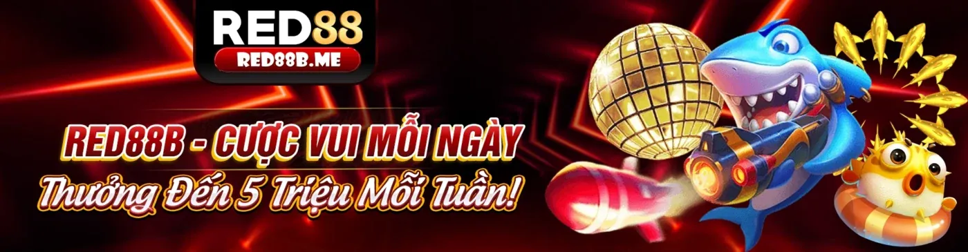 Hình ảnh minh họa cookie bên thứ ba từ các đối tác của cado888 login